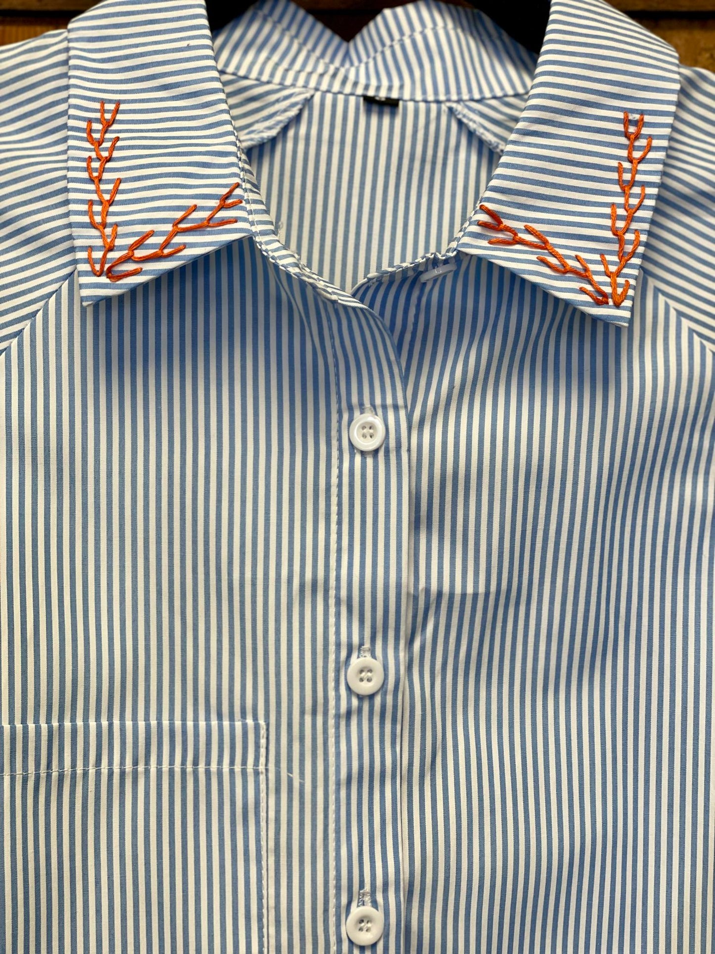 Hand Embroidered Striped Button Down Shirt