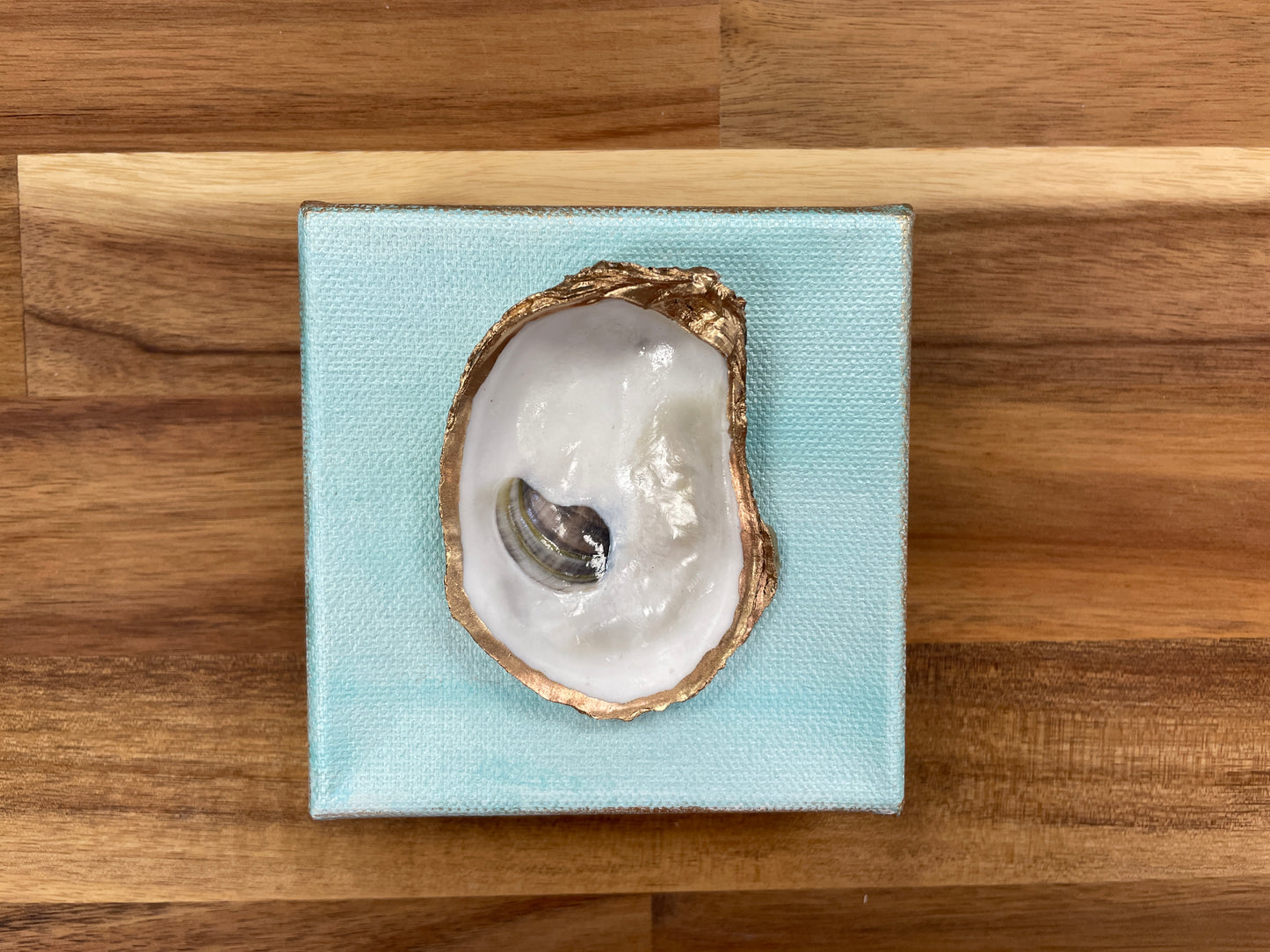 Shell Canvas Art