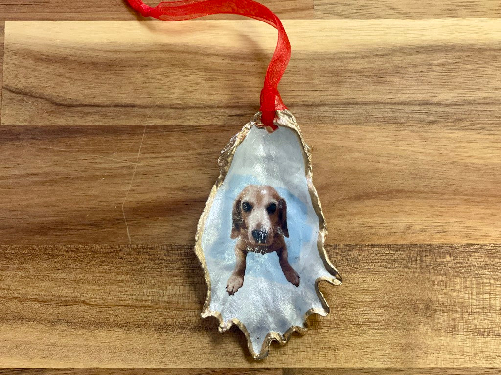 Pet Portrait Shell Ornament